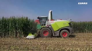 CLAAS In Campo 2021- JAGUAR 960