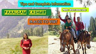 Kashmir Pahalgam Trip | Aaru Valley, Chandanbadi, Betaab Valley & Baisaran Valley #pahalgam #kashmir