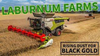 LEXION 8700 TT & 750 in OSR - LABURNUM FARMS