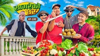 सागरेको घर "Sagare Ko Ghar”Episode 132॥New nepali Comedy Serial॥By Sagar pandey॥february 19 2024॥