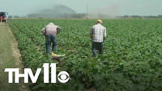 U.S. farmers concerned with immigration crackdown