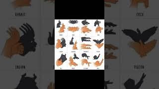 Shadow puppets #short video