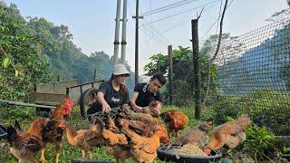 The garden is large, we raise a lot of chickens- farm life.