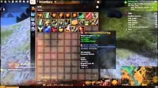 (WvW Build) Warrior Front line Tank
