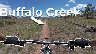 Buffalo Creek | One of a Kind Mountain Biking near Denver