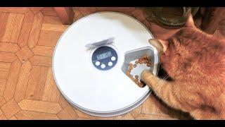 Automatic Feeder for cats and dogs Pet Feeder 4PLDH5001 with timer.