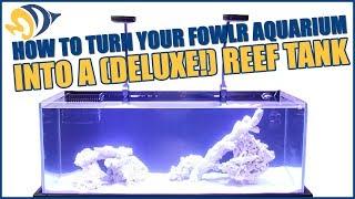 How to turn your FOWLR Aquarium into a (deluxe!) Reef Tank