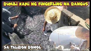 "BUMILI KAMI! NG FINGERLING NA BANGUS!'Probinsya Vlog 252 Buhay Probinsya Updates || Erlyn Go TV