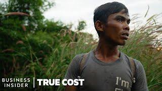 The Dark Truth About Rubber | True Cost