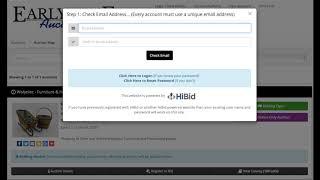 How to Bid Online