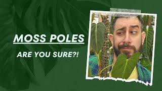 Moss Poles: Worth It? ‍️ | Moss Poles: Pros, Cons, Alternatives  | Are they necessary ?