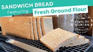 Amazing Sandwich Bread made with Fresh Ground Flour | Improved Recipe! | Pullman Pan