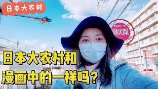 日本农村啥样？田里没有一个人，咋种菜？村民住啥房？学校啥样？【智君奈奈看日本Tokyo】