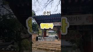 #향림사 #사찰 #기도도량 #도심속 #순천여행 #가볼만한곳 #여행지추천