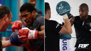 ANTHONY JOSHUA VS DANIEL DUBOIS SIDE-BY-SIDE TRAINING FOOTAGE COMPARISON - WHO WINS?