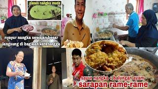 Nyayur nangka sewajan besar langsung di bagikan ke tetangga || malah dapat rezeki daging kambing