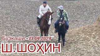 Бузкаши 13.04.2024 н.Ш.Шоҳин деҳаи Девдор