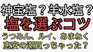 皇帝塩？神宝塩？羊水塩？いろいろあるけどどの塩を選べばいいの？塩を選ぶコツ。うつみん、ルイ、あまねくオーガニック推奨の恵安の潮買っちゃった？