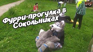 ТАНЦУЮТ - ВСЕ! - Летняя фурри-прогулка в Сокольниках.