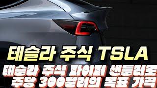 테슬라 주식 파이퍼 샌들러로  주당 300달러의 목표 가격