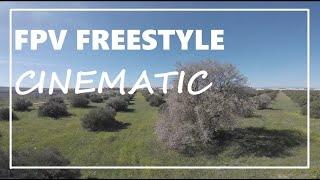 Fpv Freestyle - Flow Cinematic