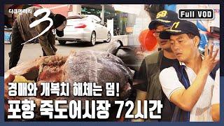[다큐3일풀버전] 푸른 바다의 '싱싱함'이 이곳에 모인다! 동해안 최대 어시장 "경북 포항 죽도어시장" 72시간~ (KBS 20170813 방송)