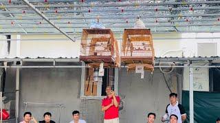 CHUNG KẾT CUỘC THI CHÀO MÀO 2024 - ĐẤU TRỪƠNG MINI