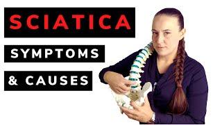 Sciatica causes and symptoms. What is pinching sciatic nerve?