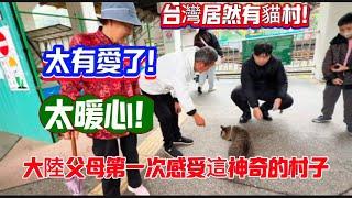 台灣居然有貓村！太有愛了吧！大陸父母第一次感受這神奇的村子
