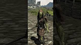 Skyrim Thief Attempts to Rob Endgame Dragonborn | Elder Scrolls Shorts