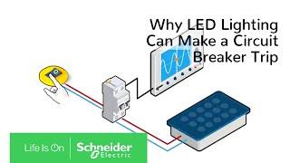 Why LED Lighting Can Make a Circuit Breaker Trip | Schneider Electric