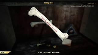 Where to find all clues in Van Lowe Taxidermy - Lying Lowe Walk-through - Fallout 76
