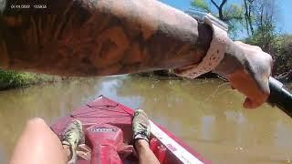 Kayaking up river North Canadian into refuge area streams