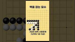 백을 잡는 절묘한 수순 중급사활 맥점 문제 #바둑 #사활 #바둑강좌