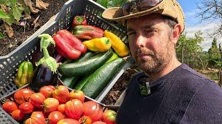 Summer Garden Bounty: Harvesting Tons Of Fresh Tomatoes, Peppers, Melons and More!