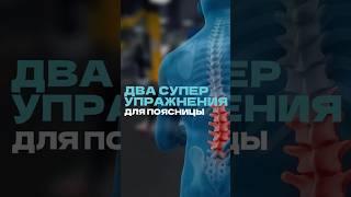 Простые и действенные упражнения для поясницы