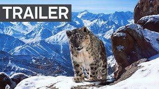 Planet Earth II: Official Extended Trailer | BBC Earth