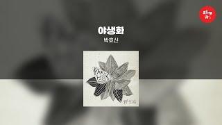 야생화 - 박효신 (고퀄리티 MRㅣ멜로디 포함 | 가사 Kor+Rom) 싱잇 노래방, Singit Karaoke