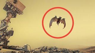 NASA Revealed Stunning Images from Perseverance Rover on Mars - Sol 1238 | Mars Images