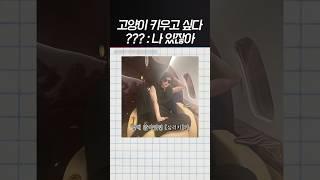 [제로베이스원] 심리키 고양이설