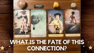 What is the Fate of this Connection?  → | Pick a card