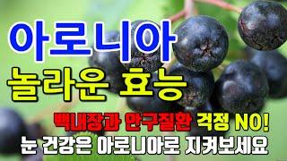 아로니아의 놀라운 효능 8가지 & 부작용 / 백내장과 안구질환 걱정 NO!  백내장과 안구질환을 걱정하는 사람들을 위한 자연의 치료법