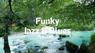 Flowing Valleys  & Funky Jazz & Blues Vibes 