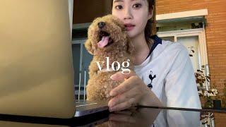 VLOG. 직장인 여자 둘 대학교 축제서 헌팅 당했는데 학번 듣고 남자들 도망간 썰 푼다 | 직장인 브이로그 | 우중캠핑 | 출근 메이크업(feat.투쿨포스쿨 프로타주 펜슬)