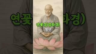삶의 시련, 연꽃으로 피어나다 | 연꽃경