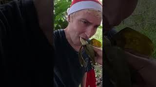 Trying Suman in the Philippines! #Philippines #suman