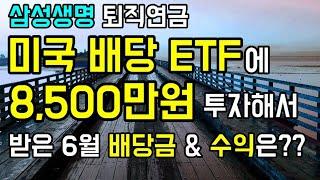 [노후준비] 미국배당ETF 에 8500만원 투자해서 받은 6월 배당금은 얼마??ㅣTIGER S&P500 l SOL미국배당다우존스ㅣACE미국30년국채액티브(H)