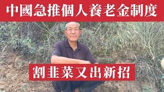 割韭菜又出新招：中國五部委急推個人養老金制度。9億低收入民眾月入1000，卻要存1.2萬養老！高官退休月領5萬，底層百姓只給20元！2035年養老金將耗盡，3億老人何去何從？深度解析中國養老金黑幕！