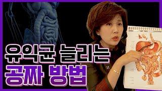 장내 유익균을 공짜로 늘리는 꿀팁! 이것만 바꿔도 장을 튼튼하게 만들 수 있어요!