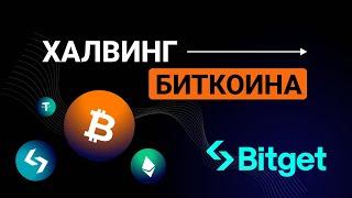 Халвинг Биткоина с биржей Bitget